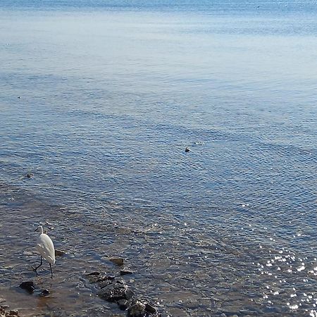 Le Tre Coccinelle Leilighet Porto Cesareo Eksteriør bilde